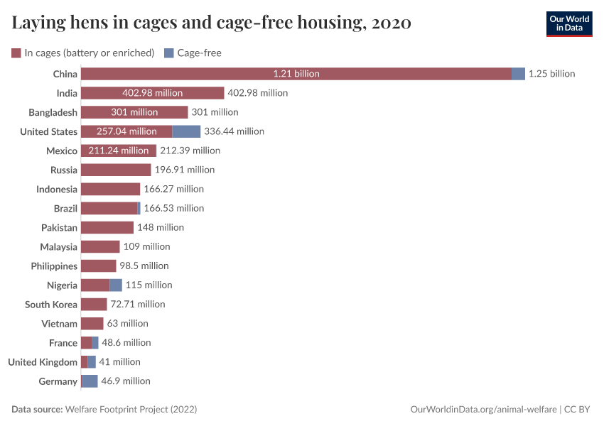 Laying hens in cages and cage-free housing